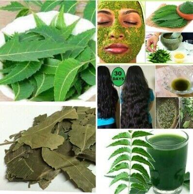 DS Organic Neem Powder – Nature’s Green Healer 🌿💚 - Image 4